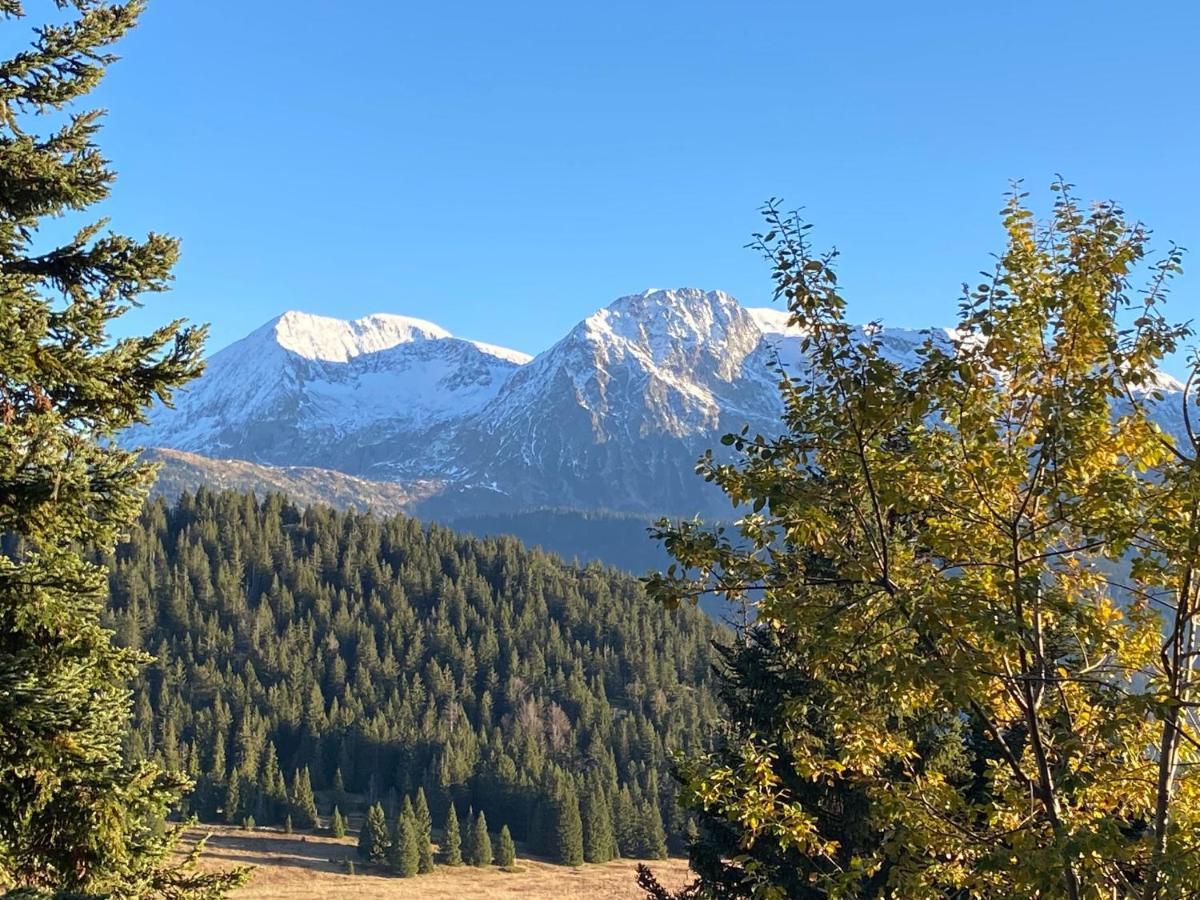 Au Bachat-Bouloud, Appartement 3 Pieces 6 Personnes Avec Balcon Plein Sud Chamrousse Dış mekan fotoğraf