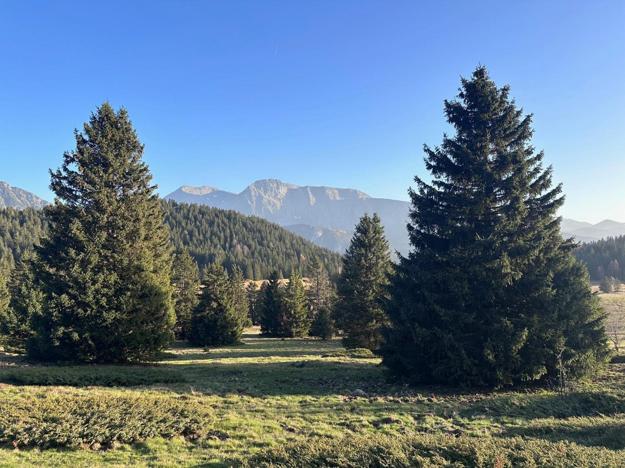 Au Bachat-Bouloud, Appartement 3 Pieces 6 Personnes Avec Balcon Plein Sud Chamrousse Dış mekan fotoğraf