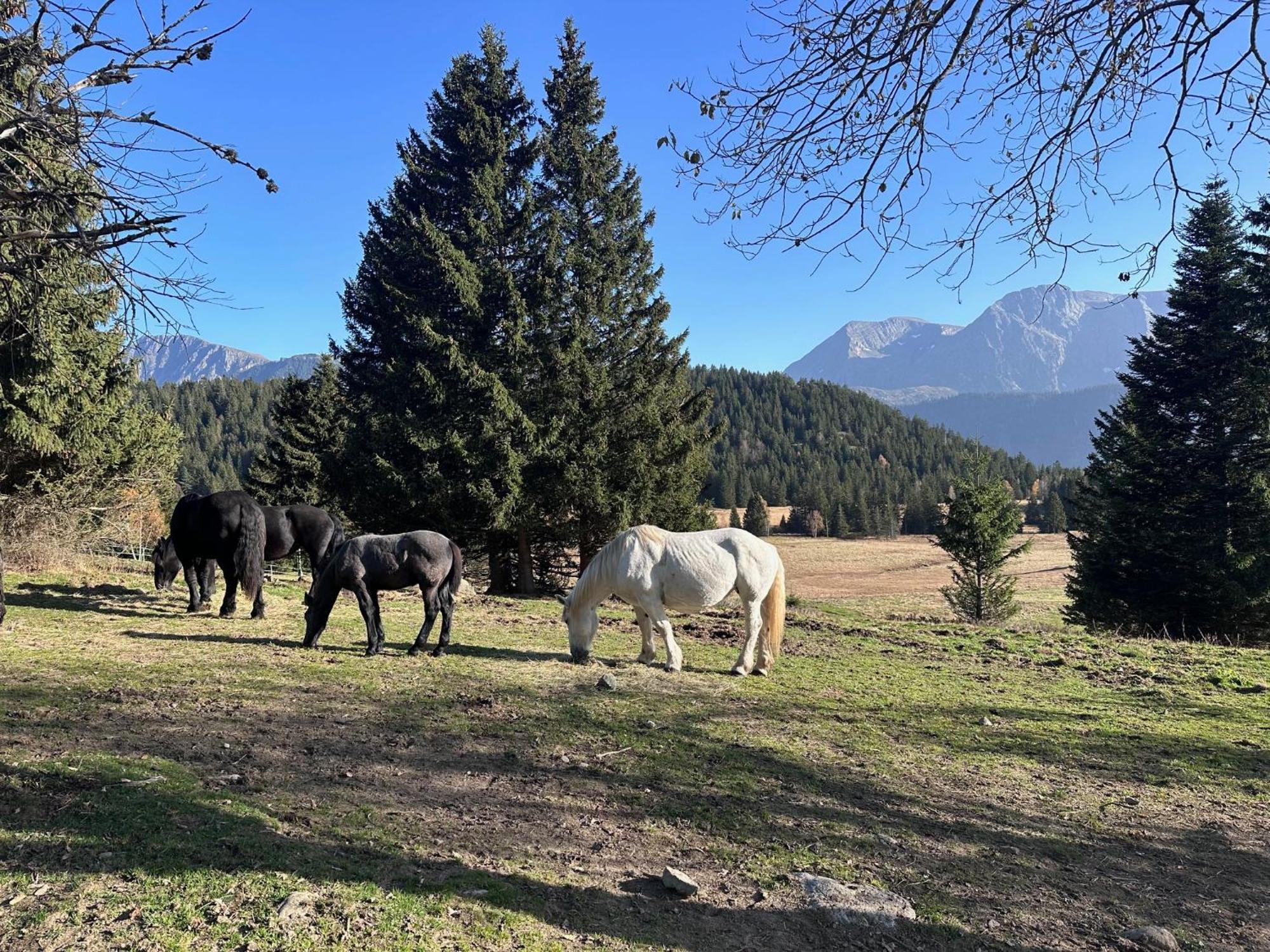 Au Bachat-Bouloud, Appartement 3 Pieces 6 Personnes Avec Balcon Plein Sud Chamrousse Dış mekan fotoğraf